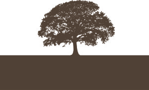 Oakworth_Tree (1)